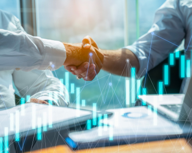 Consulting Services