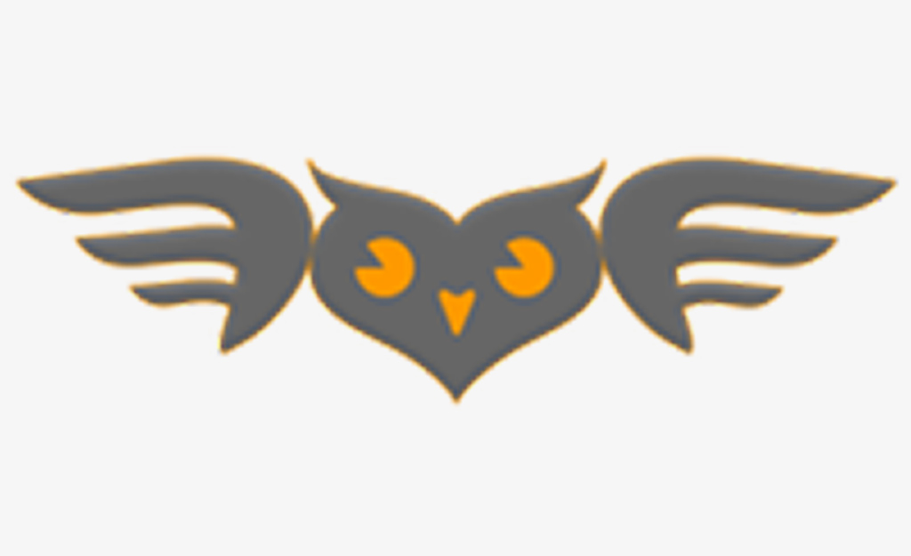 Fly Elise Mapping and Image Alignment